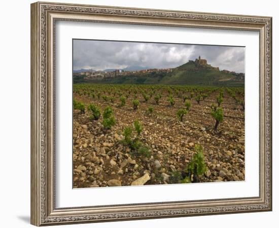 Vineyard in stony soil with San Vicente de la Sonsierra Village, La Rioja, Spain-Janis Miglavs-Framed Photographic Print