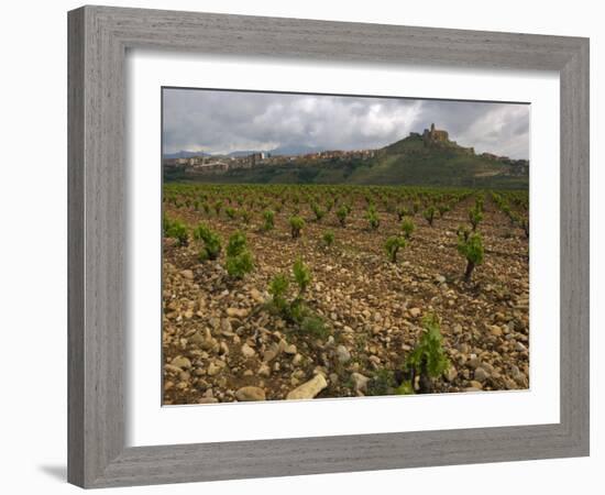 Vineyard in stony soil with San Vicente de la Sonsierra Village, La Rioja, Spain-Janis Miglavs-Framed Photographic Print