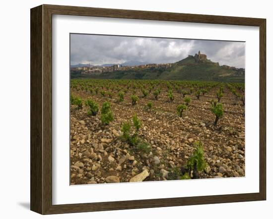 Vineyard in stony soil with San Vicente de la Sonsierra Village, La Rioja, Spain-Janis Miglavs-Framed Photographic Print