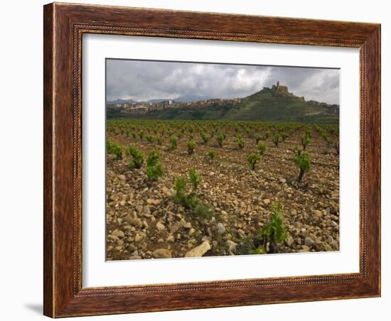 Vineyard in stony soil with San Vicente de la Sonsierra Village, La Rioja, Spain-Janis Miglavs-Framed Photographic Print