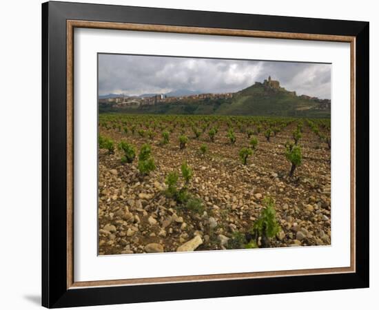 Vineyard in stony soil with San Vicente de la Sonsierra Village, La Rioja, Spain-Janis Miglavs-Framed Photographic Print