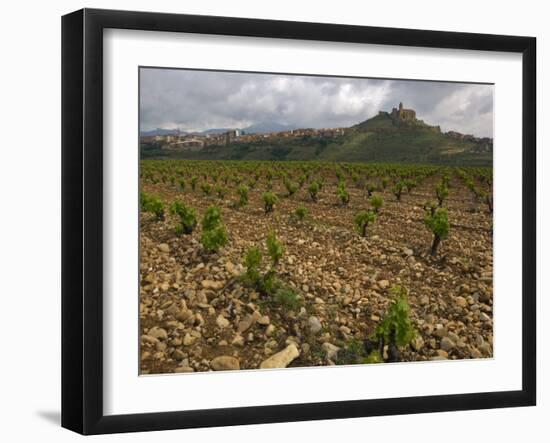 Vineyard in stony soil with San Vicente de la Sonsierra Village, La Rioja, Spain-Janis Miglavs-Framed Photographic Print