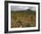 Vineyard in stony soil with San Vicente de la Sonsierra Village, La Rioja, Spain-Janis Miglavs-Framed Photographic Print