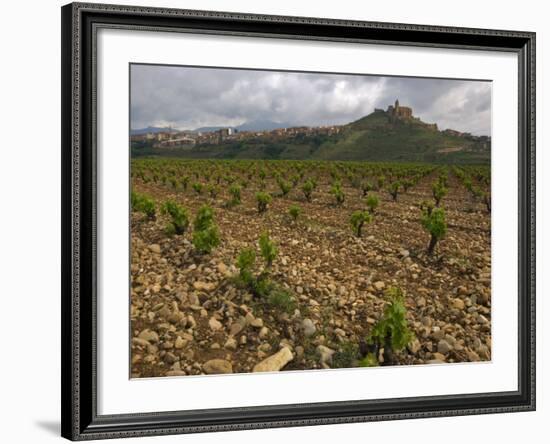 Vineyard in stony soil with San Vicente de la Sonsierra Village, La Rioja, Spain-Janis Miglavs-Framed Photographic Print