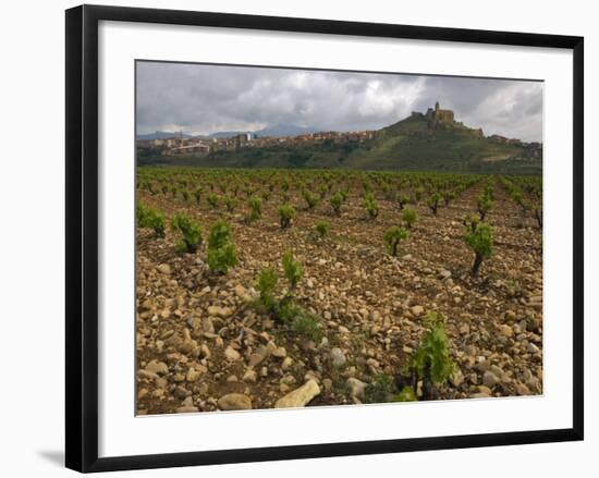 Vineyard in stony soil with San Vicente de la Sonsierra Village, La Rioja, Spain-Janis Miglavs-Framed Photographic Print