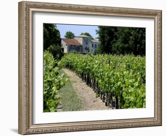 Vineyard in the Bordeaux Region, Gironde, Aquitaine, France-Peter Richardson-Framed Photographic Print