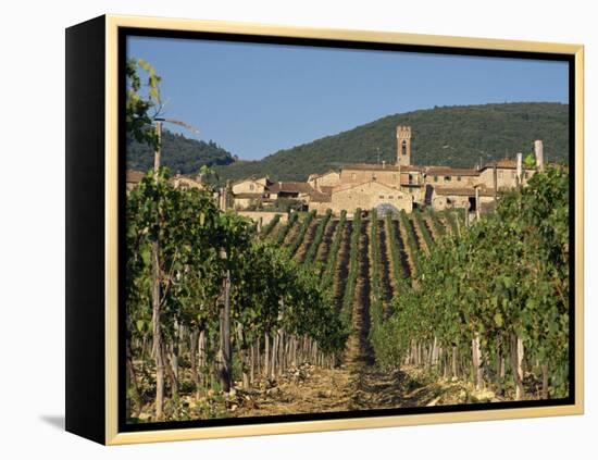Vineyard in the Chianti Classico Region North of Siena, Tuscany, Italy, Europe-Short Michael-Framed Premier Image Canvas
