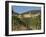 Vineyard in the Chianti Classico Region North of Siena, Tuscany, Italy, Europe-Short Michael-Framed Photographic Print