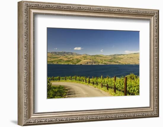 Vineyard in the Lake Chelan AVA, Washington, USA-Richard Duval-Framed Photographic Print