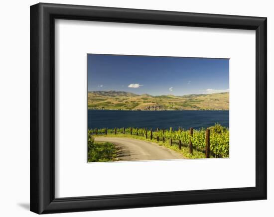 Vineyard in the Lake Chelan AVA, Washington, USA-Richard Duval-Framed Photographic Print