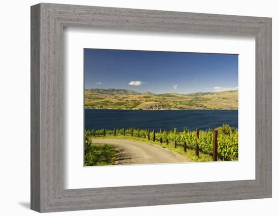 Vineyard in the Lake Chelan AVA, Washington, USA-Richard Duval-Framed Photographic Print