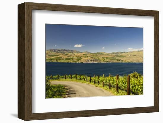 Vineyard in the Lake Chelan AVA, Washington, USA-Richard Duval-Framed Photographic Print