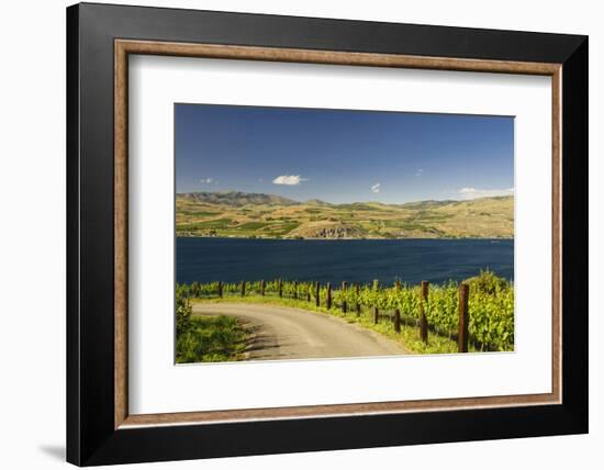 Vineyard in the Lake Chelan AVA, Washington, USA-Richard Duval-Framed Photographic Print