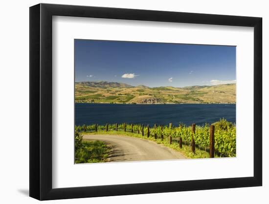 Vineyard in the Lake Chelan AVA, Washington, USA-Richard Duval-Framed Photographic Print