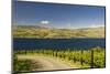 Vineyard in the Lake Chelan AVA, Washington, USA-Richard Duval-Mounted Photographic Print