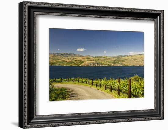 Vineyard in the Lake Chelan AVA, Washington, USA-Richard Duval-Framed Photographic Print