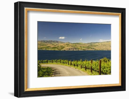 Vineyard in the Lake Chelan AVA, Washington, USA-Richard Duval-Framed Photographic Print