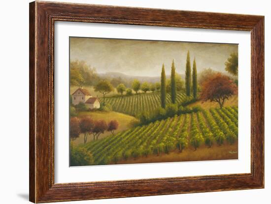 Vineyard in the Sun I-Michael Marcon-Framed Art Print