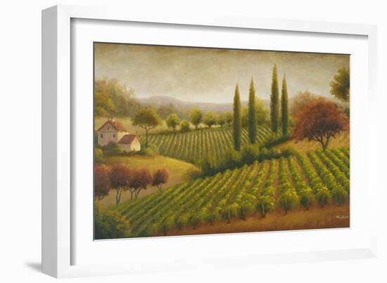 Vineyard in the Sun I-Michael Marcon-Framed Art Print