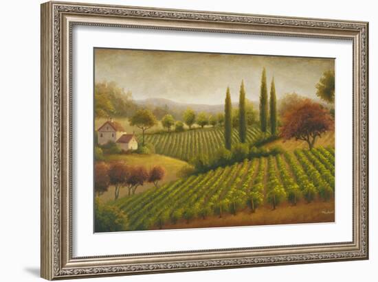 Vineyard in the Sun I-Michael Marcon-Framed Premium Giclee Print