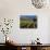 Vineyard in the Willamette Valley, Oregon, USA-Janis Miglavs-Photographic Print displayed on a wall
