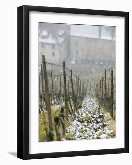 Vineyard in Winter, Riquewihr, Haut Rhin, Alsace, France-Walter Bibikow-Framed Photographic Print