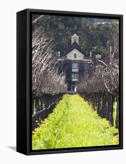 Vineyard in Winter, Rubicon Estate Vineyard, Rutherford, Napa Valley Wine Country, California, Usa-Walter Bibikow-Framed Premier Image Canvas