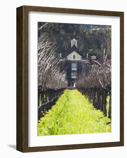 Vineyard in Winter, Rubicon Estate Vineyard, Rutherford, Napa Valley Wine Country, California, Usa-Walter Bibikow-Framed Photographic Print