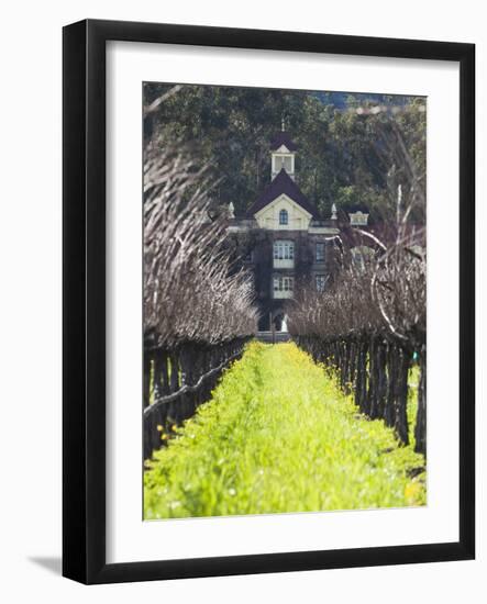 Vineyard in Winter, Rubicon Estate Vineyard, Rutherford, Napa Valley Wine Country, California, Usa-Walter Bibikow-Framed Photographic Print