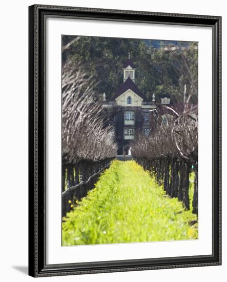 Vineyard in Winter, Rubicon Estate Vineyard, Rutherford, Napa Valley Wine Country, California, Usa-Walter Bibikow-Framed Photographic Print