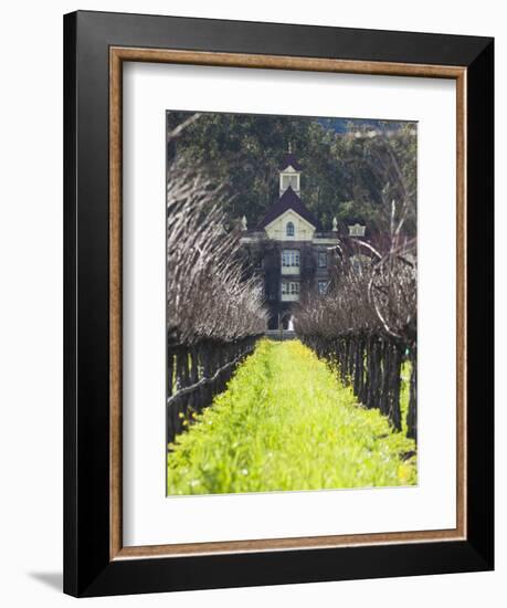 Vineyard in Winter, Rubicon Estate Vineyard, Rutherford, Napa Valley Wine Country, California, Usa-Walter Bibikow-Framed Photographic Print