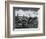 Vineyard, Landscape, c. 1955-Brett Weston-Framed Photographic Print