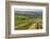 Vineyard Landscape in Transylvania, Near Brasov, Romania, Europe-Matthew Williams-Ellis-Framed Photographic Print