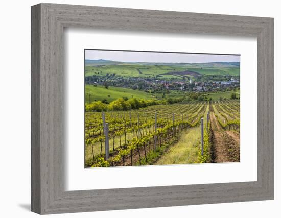 Vineyard Landscape in Transylvania, Near Brasov, Romania, Europe-Matthew Williams-Ellis-Framed Photographic Print