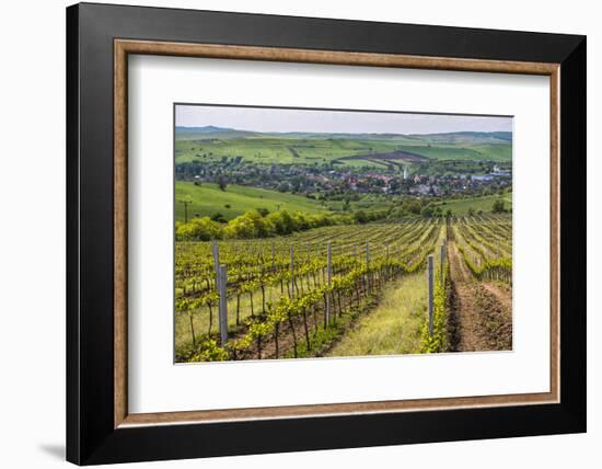 Vineyard Landscape in Transylvania, Near Brasov, Romania, Europe-Matthew Williams-Ellis-Framed Photographic Print