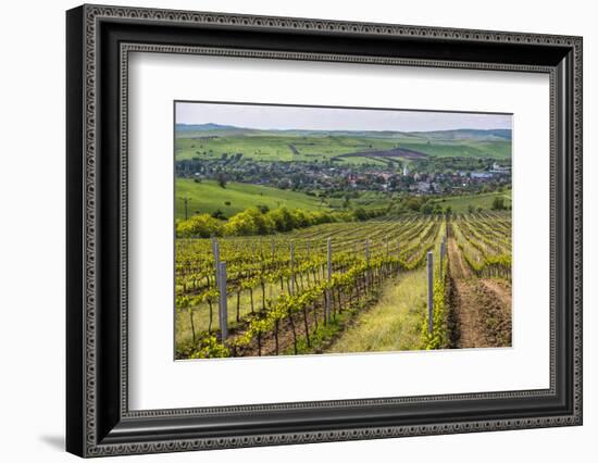 Vineyard Landscape in Transylvania, Near Brasov, Romania, Europe-Matthew Williams-Ellis-Framed Photographic Print