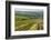 Vineyard Landscape in Transylvania, Near Brasov, Romania, Europe-Matthew Williams-Ellis-Framed Photographic Print