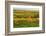 Vineyard Landscape, Near St. Martin, German Wine Route, Rhineland-Palatinate, Germany, Europe-Jochen Schlenker-Framed Photographic Print