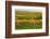 Vineyard Landscape, Near St. Martin, German Wine Route, Rhineland-Palatinate, Germany, Europe-Jochen Schlenker-Framed Photographic Print