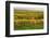 Vineyard Landscape, Near St. Martin, German Wine Route, Rhineland-Palatinate, Germany, Europe-Jochen Schlenker-Framed Photographic Print