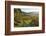 Vineyard Landscape, Ortenau, Baden Wine Route, Baden-Wurttemberg, Germany, Europe-Jochen Schlenker-Framed Photographic Print