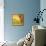 Vineyard Landscape-Oleg Iatsun-Premium Giclee Print displayed on a wall