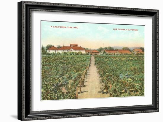 Vineyard, Los Olivos-null-Framed Art Print