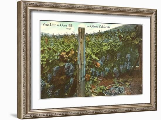 Vineyard, Los Olivos-null-Framed Art Print