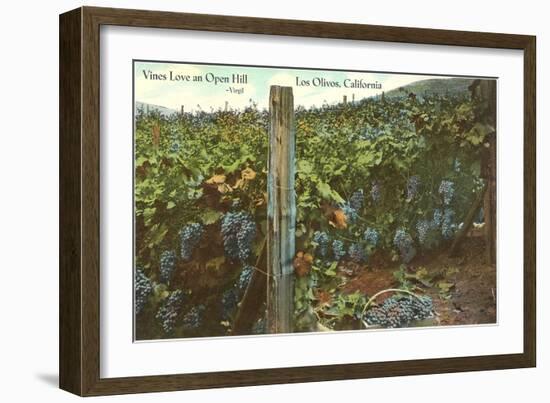 Vineyard, Los Olivos-null-Framed Art Print