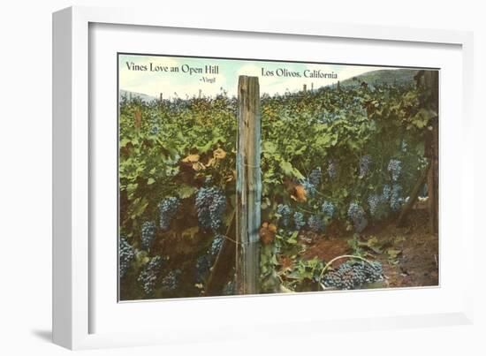 Vineyard, Los Olivos-null-Framed Art Print