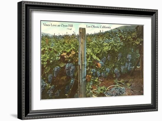 Vineyard, Los Olivos-null-Framed Art Print