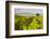 Vineyard, Lumbarda, Korcula Island, Dalmatian Coast, Adriatic, Croatia, Europe-Matthew Williams-Ellis-Framed Photographic Print