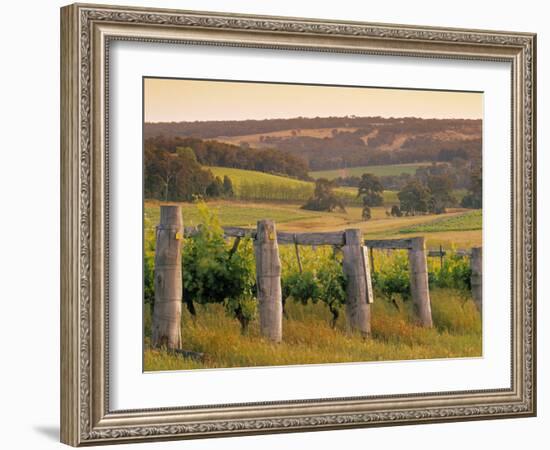 Vineyard, Margaret River, Western Australia, Australia-Doug Pearson-Framed Photographic Print