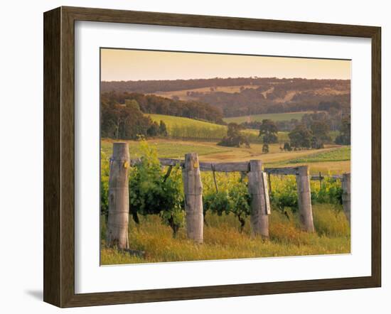 Vineyard, Margaret River, Western Australia, Australia-Doug Pearson-Framed Photographic Print